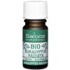Saloos 100 % BIO prírodný esenciálny olej Eukalyptus radiata 5 ml
