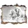 Díra 3D fototapeta na stěnu Biele kone 95x64 cm