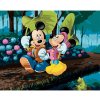 Diamondi Diamantové maľovanie - MICKEY MOUSE A MINNIE S DÁŽDNIKMI Z LISTOV Rámovanie: vypnuté plátno na rám, Rozmer: 40x50 cm