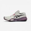 ASICS ASICS Gel Resolution X dámska tenisová obuv na antuku béžová 39 1/2