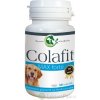Colafit 4 Max Forte na klouby pro psy 50 tbl