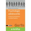 Psychologie adolescentů - Petr Macek, Lenka Lacinová