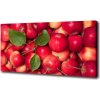 Foto obraz canvas Červené jablko 100x50 cm