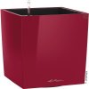 Plastový kvetináč Lechuza Cube 40 x 40 x 40 cm červený vrátane zavlažovacieho systému, vložky na rastliny, substrátu a ukazovatele hladiny vody