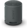 Sony SRS-XB100
