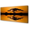 Obraz canvas Sunset tree 100x50 cm