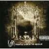 Korn - Take A Look In The Mirror [CD]
