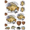 Giants fishing Mix nálepiek Giants Fishing Kapor lysec (14ks)