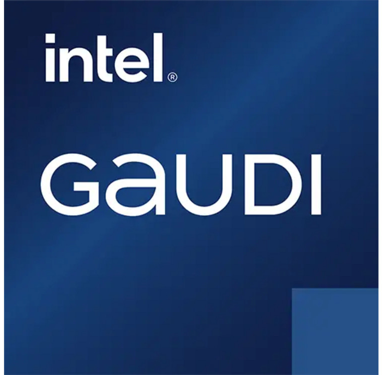 Habana Intel Gaudi 2 96GB HBM2 HL-225H