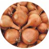 SimonSeed Cibuľa sadzačka šalotka- žltá 0,25 kg