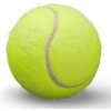 Obrovská, tvrdá tenisová loptička pre psy – 10 cm