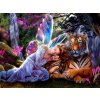 Norimpex diamantové malování Motýlia víla 30 x 40 cm