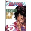 Bleach 5 (Tite Kubo)(Brožovaná)