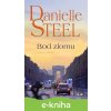 E-kniha Bod zlomu - Danielle Steel