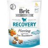 Brit snack Recovery herring & sea buckthorn 150 g