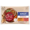 PURINA ONE MINI Small Dog Adult Multipack kura a hovädzie v šťave 4 x 85 g
