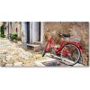 Foto obraz akrylový na stenu Červený bicykel 100x50 cm