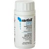 Certisil Certinox Konzervačný prostriedok na pitnú vodu Certisil Argento 10000 P 100 g