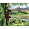 ZUTY Maľovanie podľa čísel - PRÍRODA A HORY, ÍRSKO (TED DAVIS) Rámovanie: bez rámu a bez vypnutia plátna, Rozmer: 80x100 cm