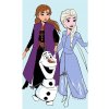 Carbotex Detský uterák Ľadové kráľovstvo Frozen motív Priatelia navždy 30 x 50 cm