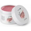 Cosmetics Zone Vynikající PRO Star gelový nátěr 50g