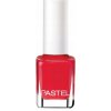 PASTEL Lak na nechty č. 98 13ml