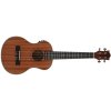Prodipe Guitars BT3