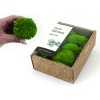 KreaBox - Kopčekový mach - Ball moss ( svetlo zelený )