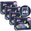Felix Fantastic Junior lahodný výber 48 x 85 g