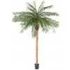 Umelá Phoenix palma prírodný kmeň, 260cm