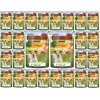 Friskies Adult hovězí a brambory ve šťávě 26 x 85 g