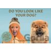Do You Look Like Your Dog? A Memory Game - Gerrard Gethings
