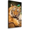Vertikálny foto obraz na plátne Bengálsky tiger 50x100 cm