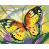 Zuty – Maľovanie Podľa Čísel – Motýľ Žltáčik, 40 × 50 cm, Plátno 8596530138440