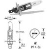 TESLight H1 P14,5s 12V 55W