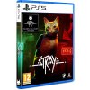 Stray