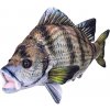 Mikro trading Kapr 45cm