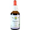 Salvia Paradise Bacopa monnieri Brahmi AF tinktura 50 ml