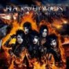 Black Veil Brides - Set The World Of Fire [CD]