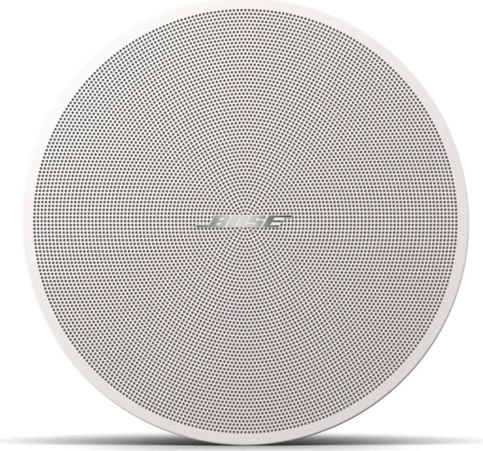 Bose DesignMax DM3C