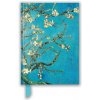 Vincent van Gogh: Almond Blossom (Foiled Blank Journal)