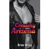 Crossing Arizona