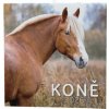 Koně 2026 - nástěnný kalendář