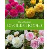 David Austin's English Roses - David Austin