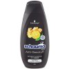 SCHAUMA Šampón 400 ml Pre Lesk Intensive