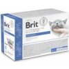 Brit VD Cat Pouch fillets in Gravy Recovery 12x85g