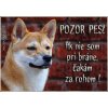 Tabuľka pozor pes (Shiba Inu)
