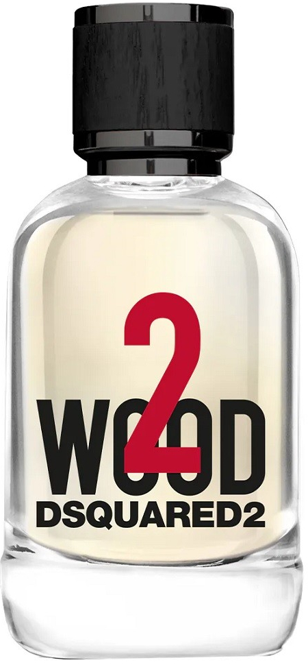 Dsquared2 2 wood toaletná voda pánska 100 ml