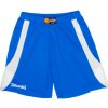 Spalding Jam Shorts modrá
