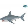 Žralok bílý
